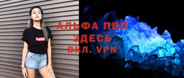 ПСИЛОЦИБИНОВЫЕ ГРИБЫ Грязовец