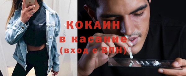 ПСИЛОЦИБИНОВЫЕ ГРИБЫ Грязовец