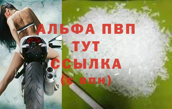 ПСИЛОЦИБИНОВЫЕ ГРИБЫ Грязовец
