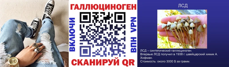 Купить Заинск Псилоцибиновые грибы GOLDEN TEACHER
